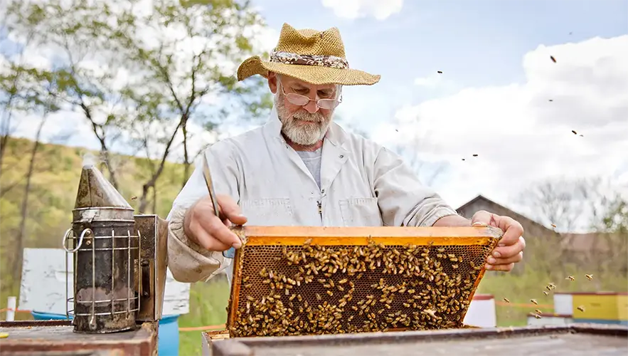 trouver un apiculteur près de chez vous !