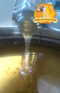 Extraction du miel d'acacia