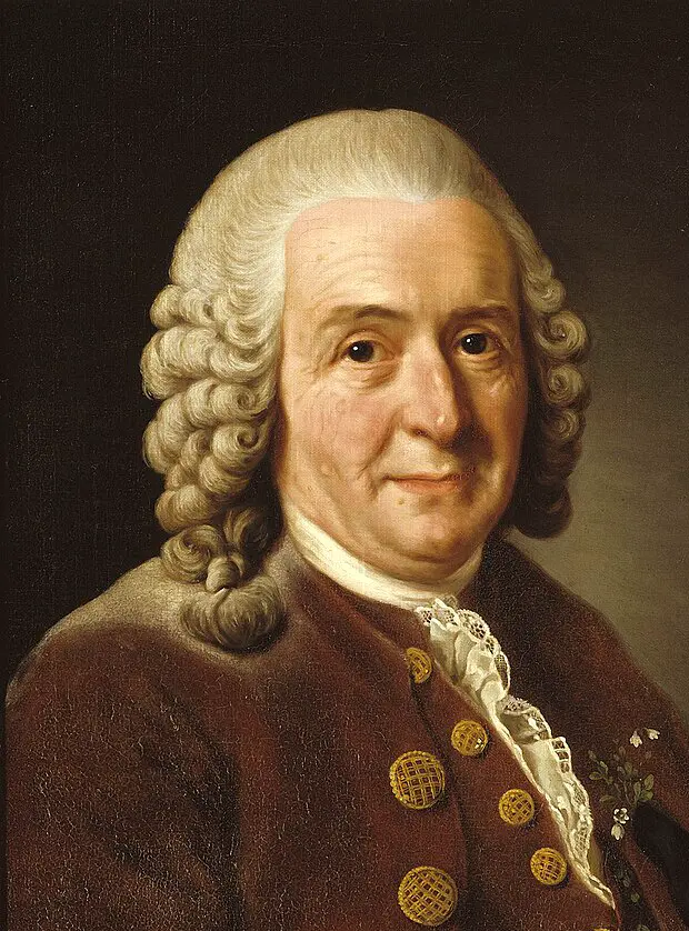 Portrait de Carl von Linné