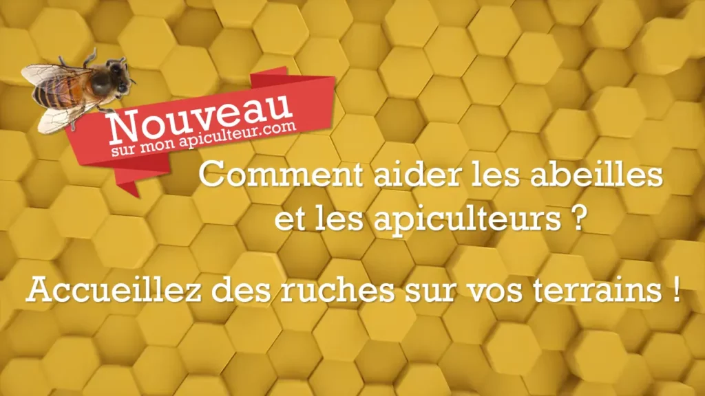 Aider les abeilles et apiculteurs