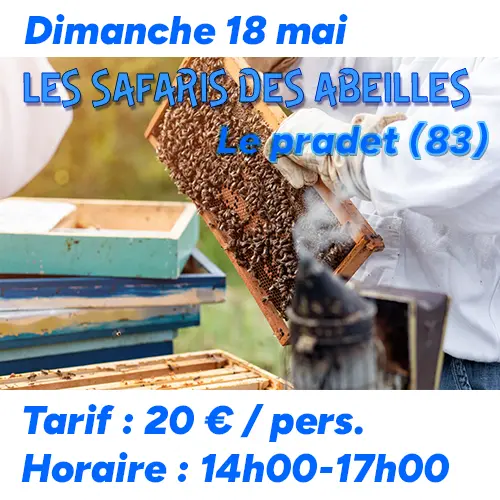 Safari des Abeilles du dimanche 18 mai 2025