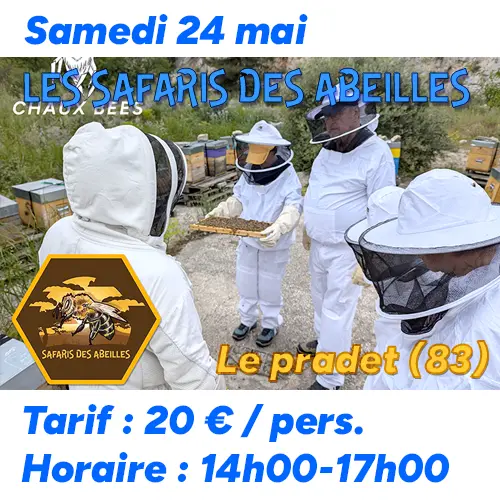 Safari des Abeilles du samedi 24 mai 2025